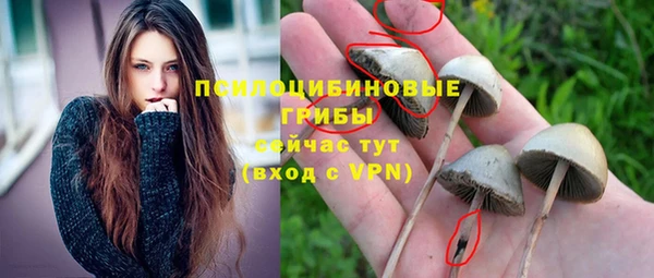 MDMA Premium VHQ Аркадак