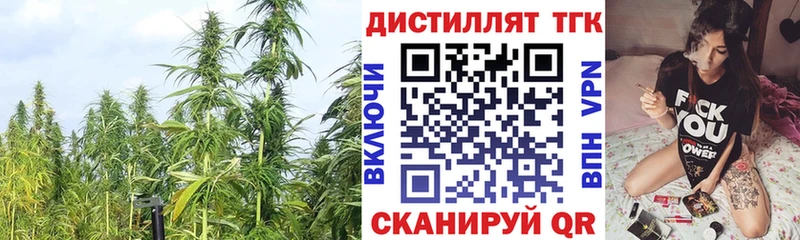 Дистиллят ТГК концентрат  Купить закладки  Беломорск 