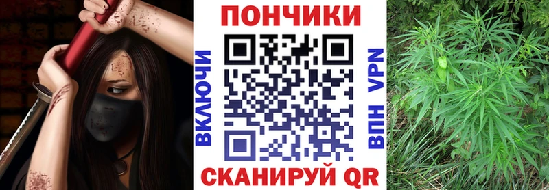 Купить закладки  Беломорск  Бошки марихуана SATIVA & INDICA 